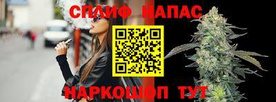 гашик Кимры