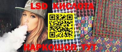 шишки Кандалакша